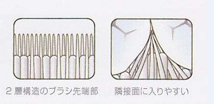 歯ブラシ先端②